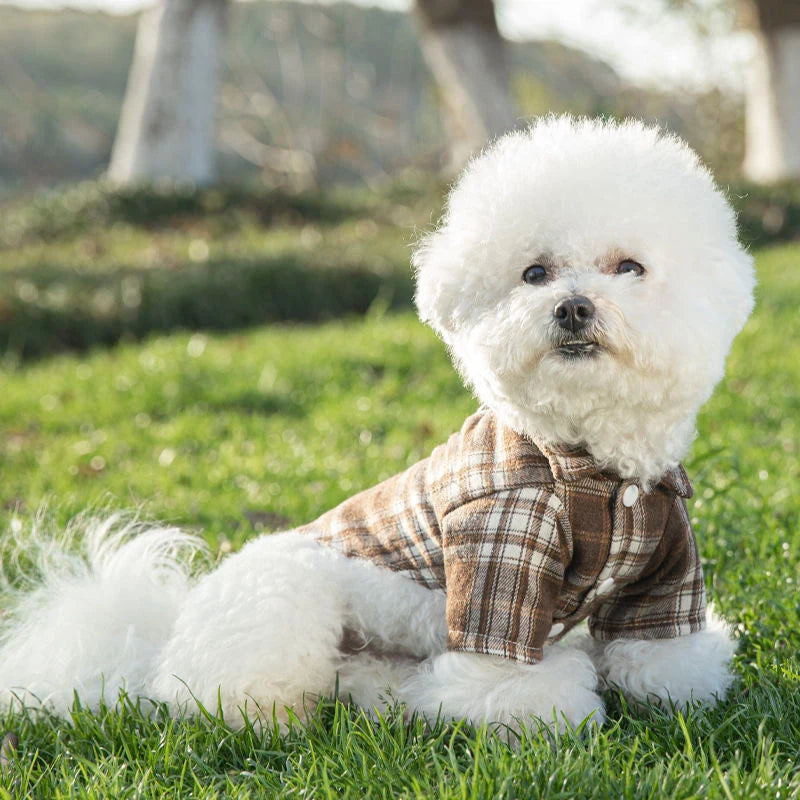 Summer Pet Shirt - British Style Plaid Dog Vest Clothes For Small Dogs - Meterpet