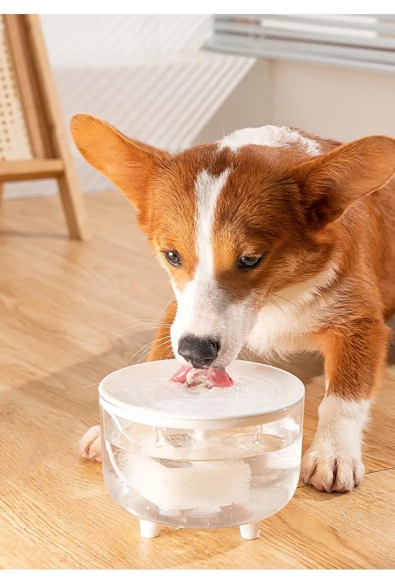 Automatic Pet Fountain Water - 1L USB, Whisper - Quiet and Advanced Filtration System - Meterpet