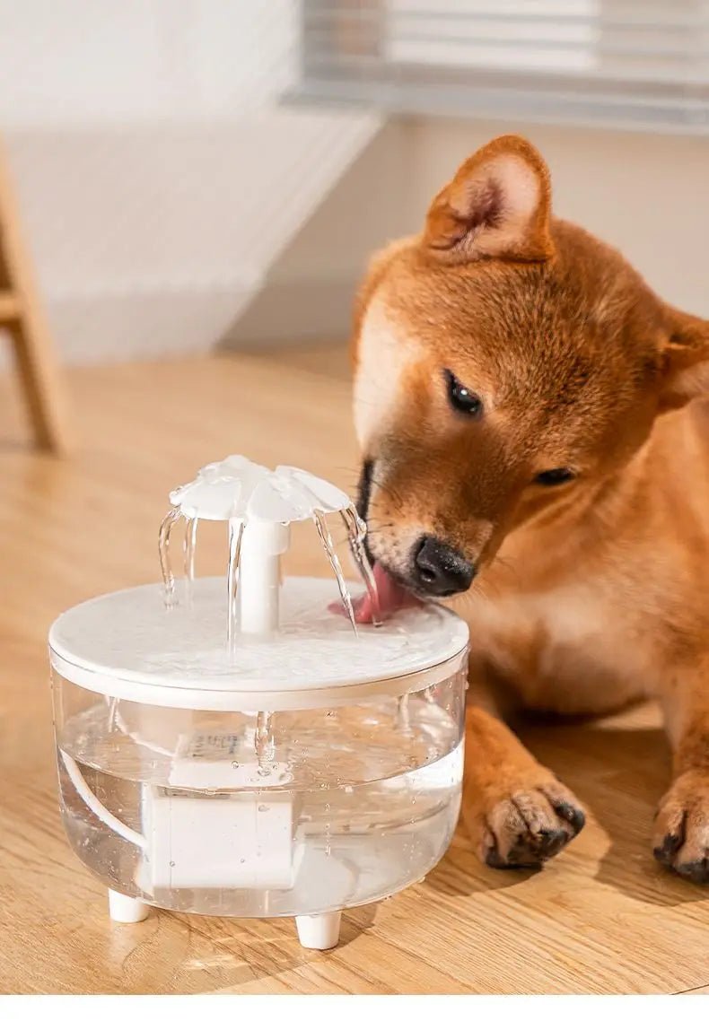 Automatic Pet Fountain Water - 1L USB, Whisper - Quiet and Advanced Filtration System - Meterpet