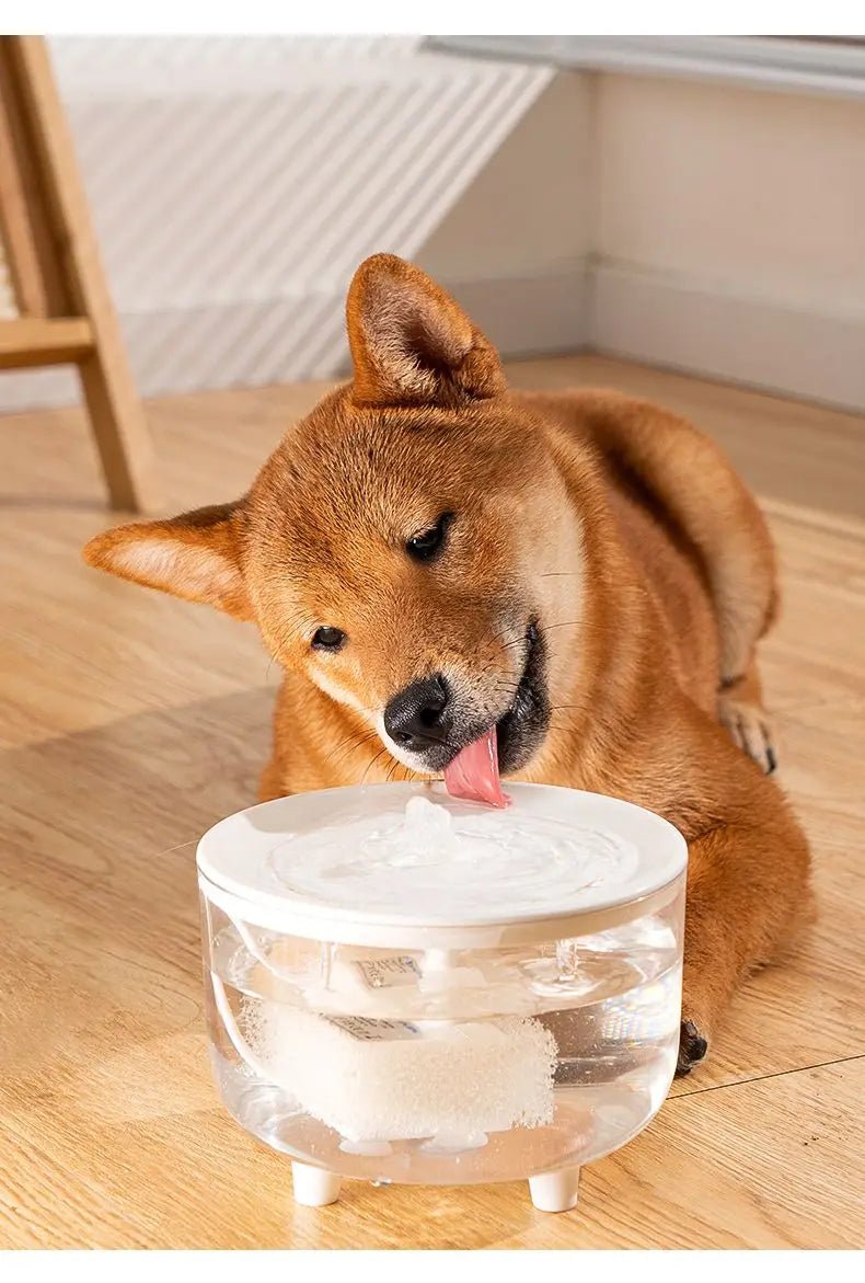 Automatic Pet Fountain Water - 1L USB, Whisper - Quiet and Advanced Filtration System - Meterpet