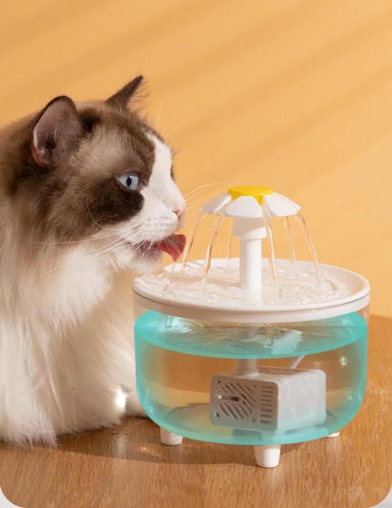 Automatic Pet Fountain Water - 1L USB, Whisper - Quiet and Advanced Filtration System - Meterpet