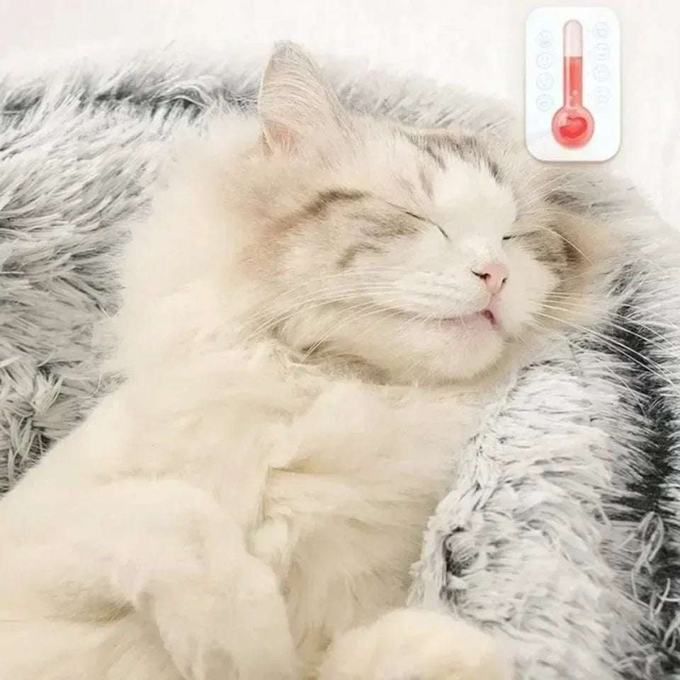 Cosy Plush Cat Cushion - Comfortable Resting Place for Cats - Meterpet
