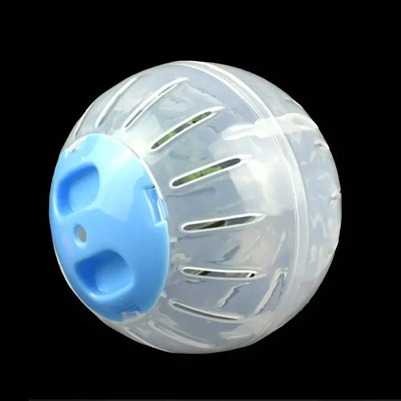 Plastic Outdoor Sport Ball - Small Pet Exercise Ball - Meterpet