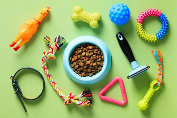 Dog Toys collection