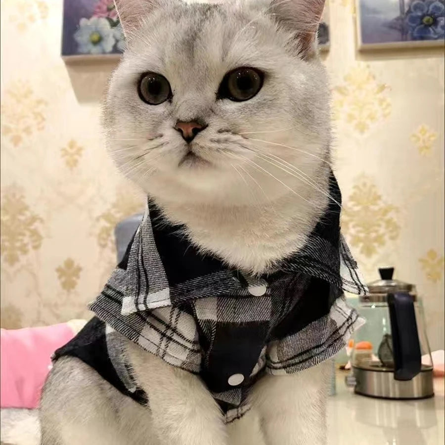 Stylish Plaid Shirt Coat – Adorable Comfort for Chilly Days - Meterpet
