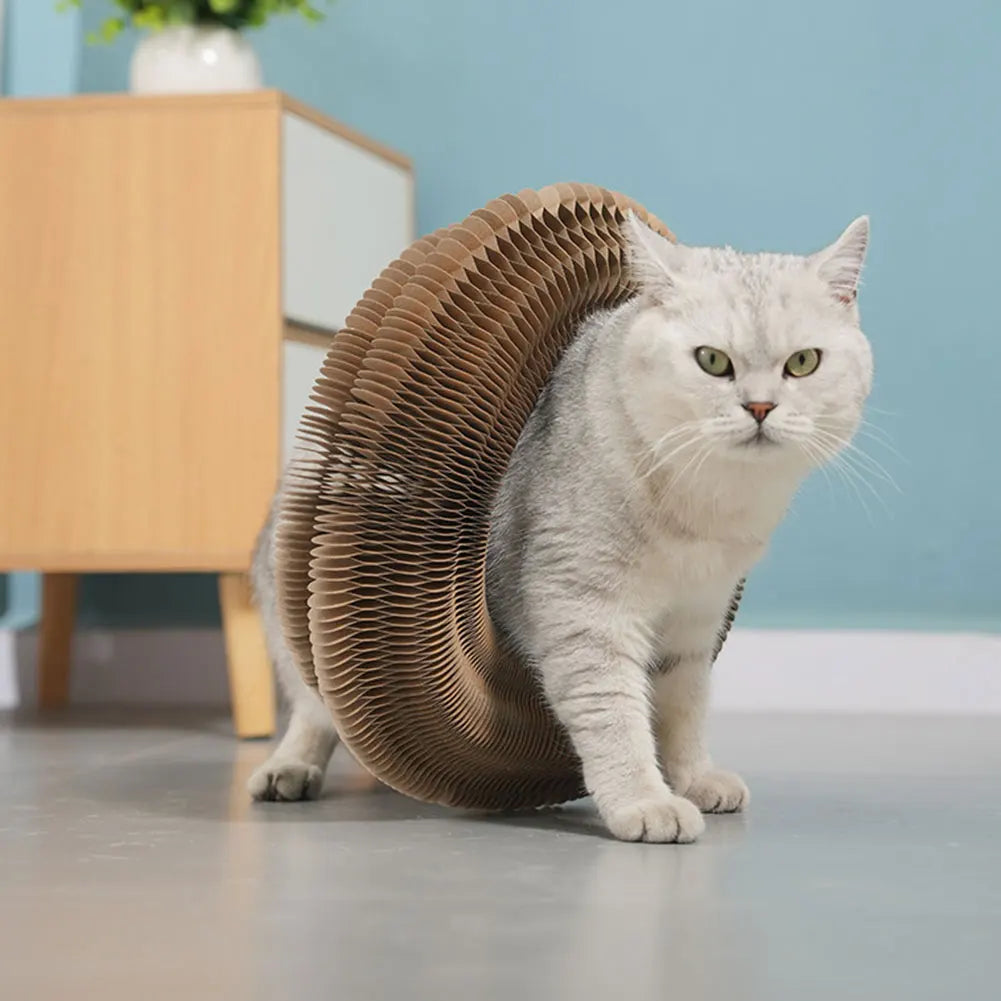 Magic Organ Cat Scratching Board – Interactive Accordion Cat Toy - Meterpet