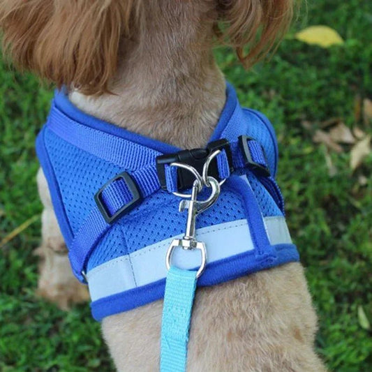 Adjustable Small Dog Harness and Leash Set - Breathable Mesh, Escape - Proof, Comfortable Fit - Meterpet