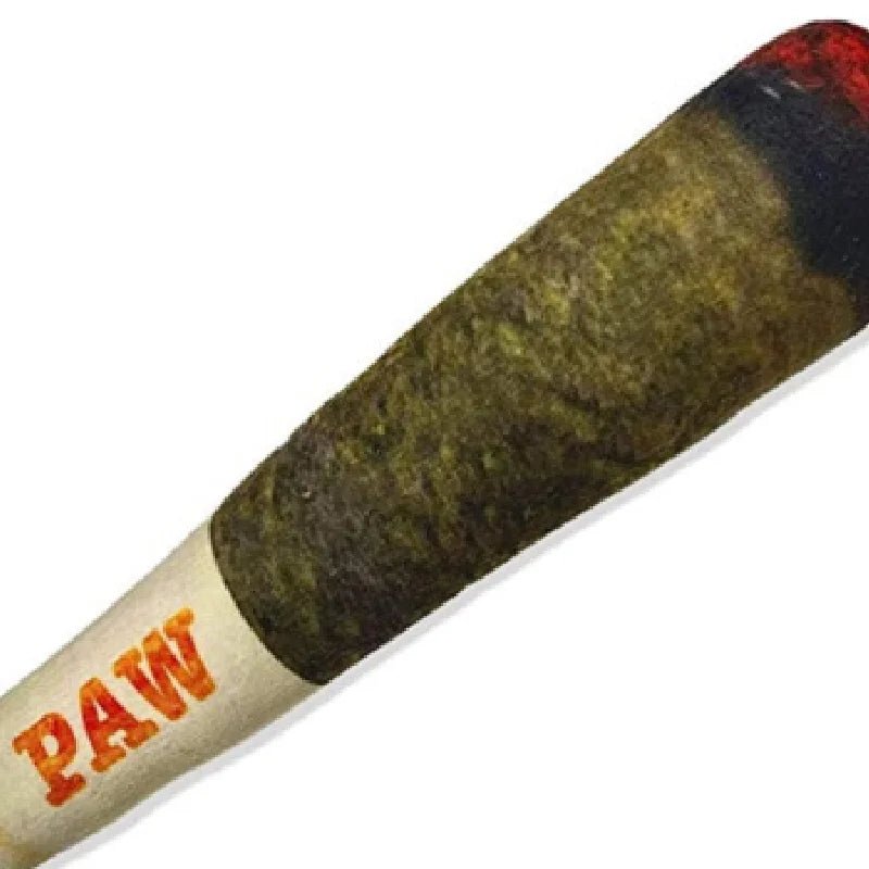Indestructible Chew Toy for Small Dogs - ToughPup Interactive Plush Cigar with Squeaker - Meterpet