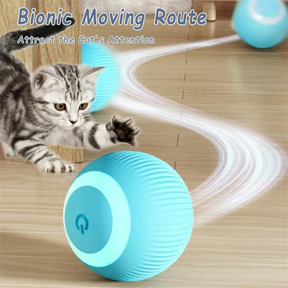 Interactive Dog Toy Ball - Smart USB Rechargeable Bouncing Ball for Active Dogs - Meterpet