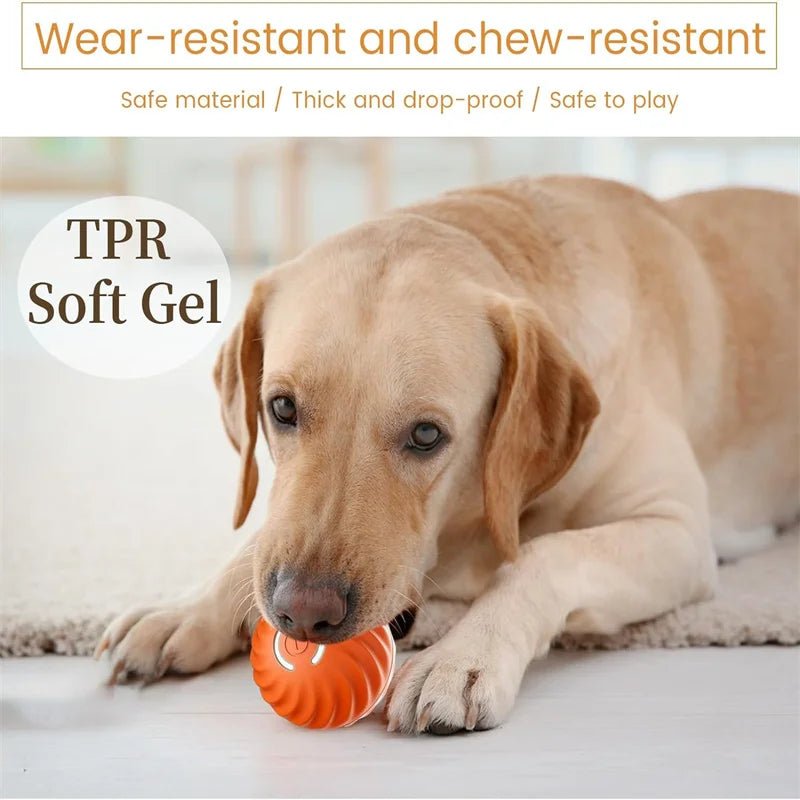 Interactive Dog Toy Ball - Smart USB Rechargeable Bouncing Ball for Active Dogs - Meterpet