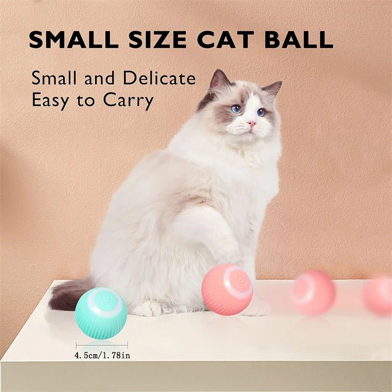 Interactive Dog Toy Ball - Smart USB Rechargeable Bouncing Ball for Active Dogs - Meterpet