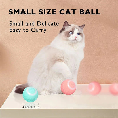 Interactive Dog Toy Ball - Smart USB Rechargeable Bouncing Ball for Active Dogs - Meterpet