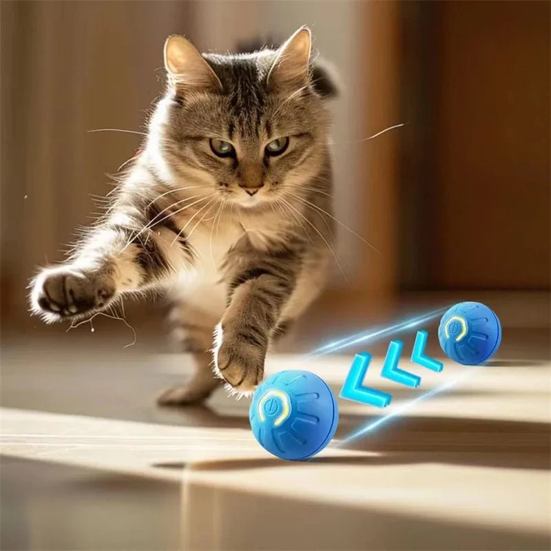 Interactive Dog Toy Ball - Smart USB Rechargeable Bouncing Ball for Active Dogs - Meterpet