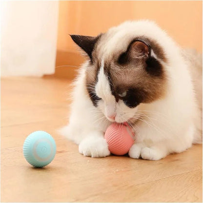 Interactive Dog Toy Ball - Smart USB Rechargeable Bouncing Ball for Active Dogs - Meterpet
