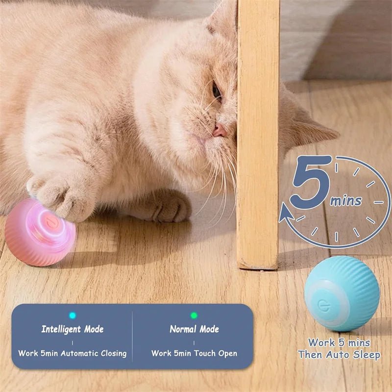 Interactive Dog Toy Ball - Smart USB Rechargeable Bouncing Ball for Active Dogs - Meterpet