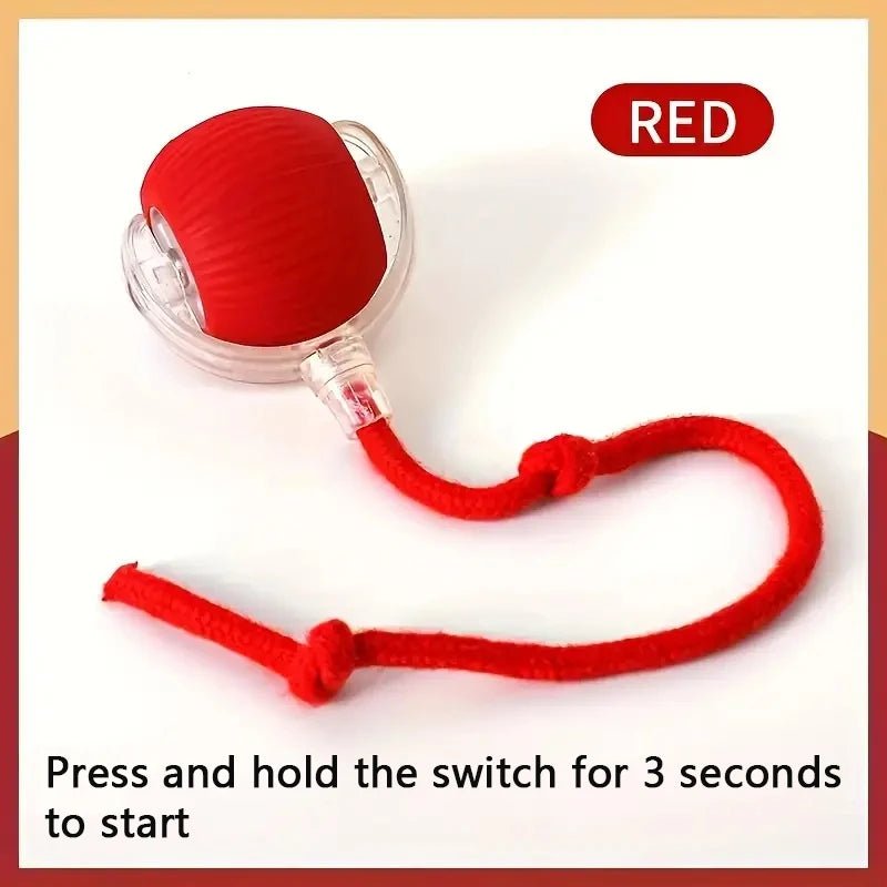 Interactive Dog Toy Ball - Smart USB Rechargeable Bouncing Ball for Active Dogs - Meterpet