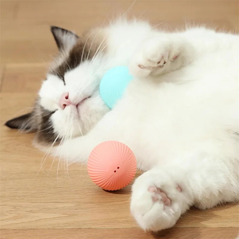 Interactive Dog Toy Ball - Smart USB Rechargeable Bouncing Ball for Active Dogs - Meterpet