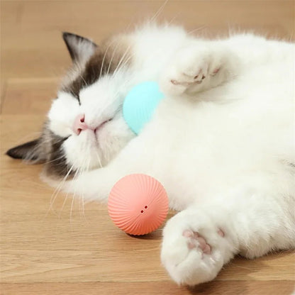 Interactive Dog Toy Ball - Smart USB Rechargeable Bouncing Ball for Active Dogs - Meterpet