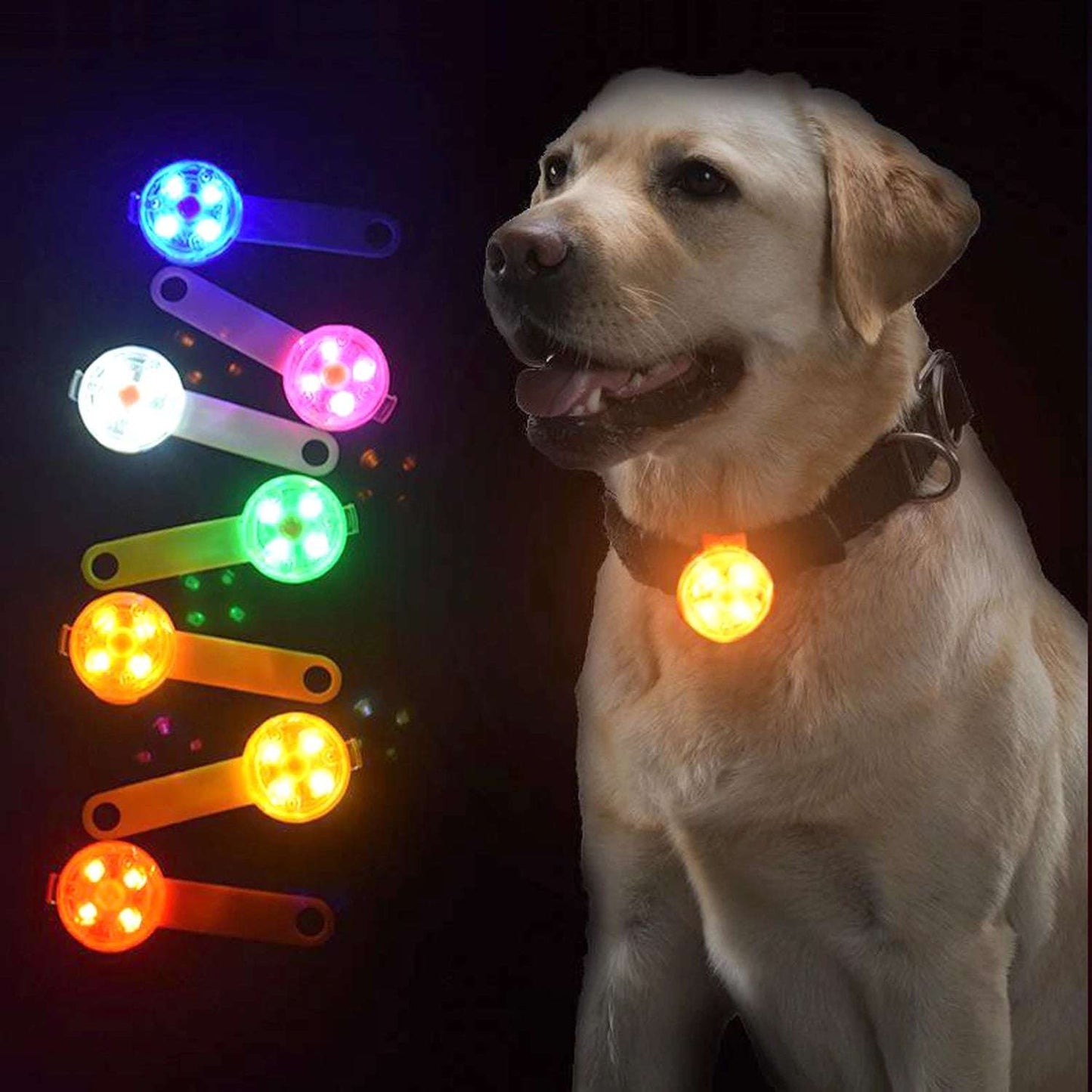 LED Dog Collar - Waterproof USB Rechargeable - Glow - in - the - Dark Safety Gear - Meterpet