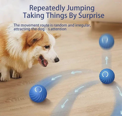 Interactive Dog Toy Ball - Smart USB Rechargeable Bouncing Ball for Active Dogs