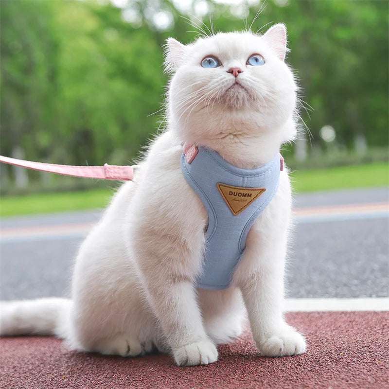 Stylish Pet Harness and Leash Set for Small Dogs and Cats - Meterpet