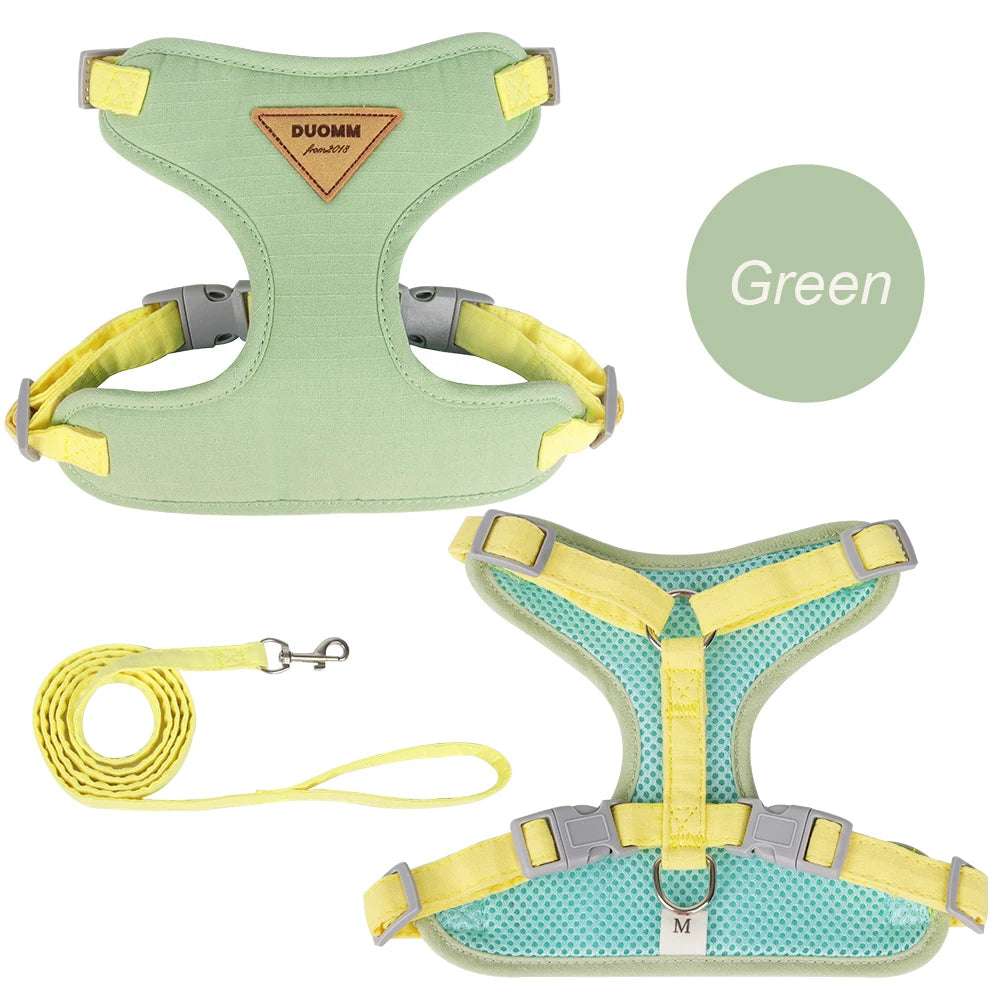 Stylish Pet Harness and Leash Set for Small Dogs and Cats - Meterpet