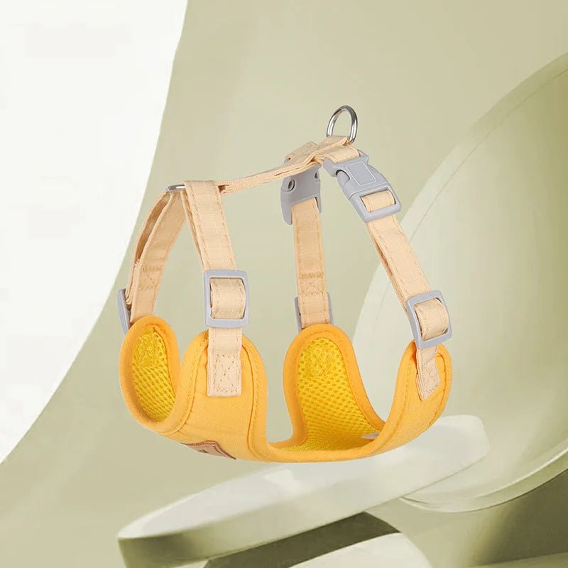 Stylish Pet Harness and Leash Set for Small Dogs and Cats - Meterpet