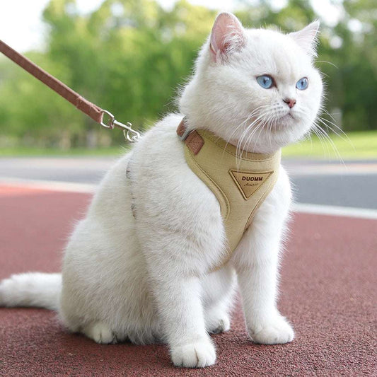 Stylish Pet Harness and Leash Set for Small Dogs and Cats - Meterpet