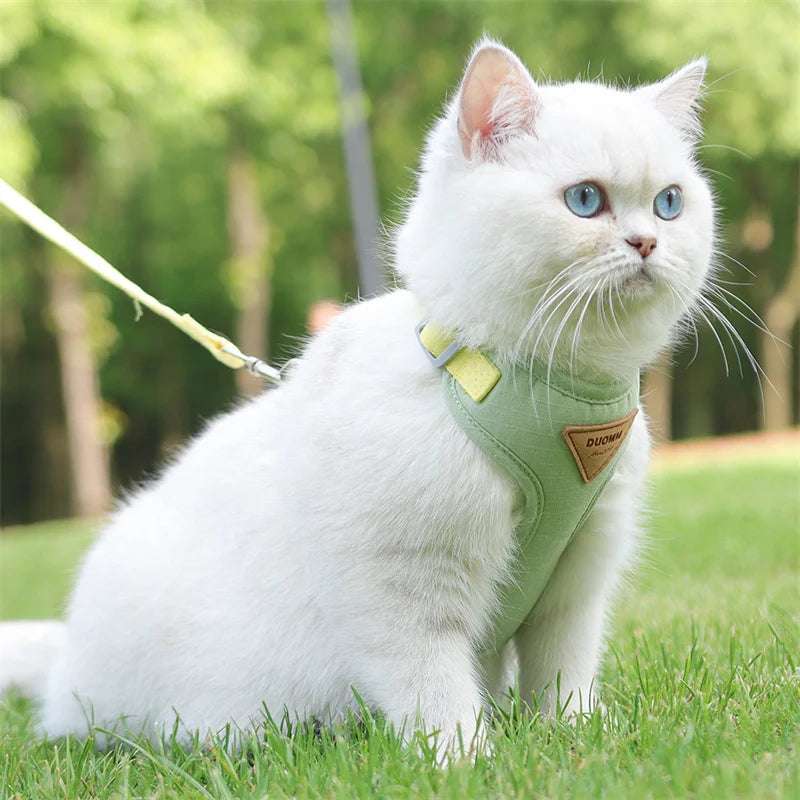 Stylish Pet Harness and Leash Set for Small Dogs and Cats - Meterpet