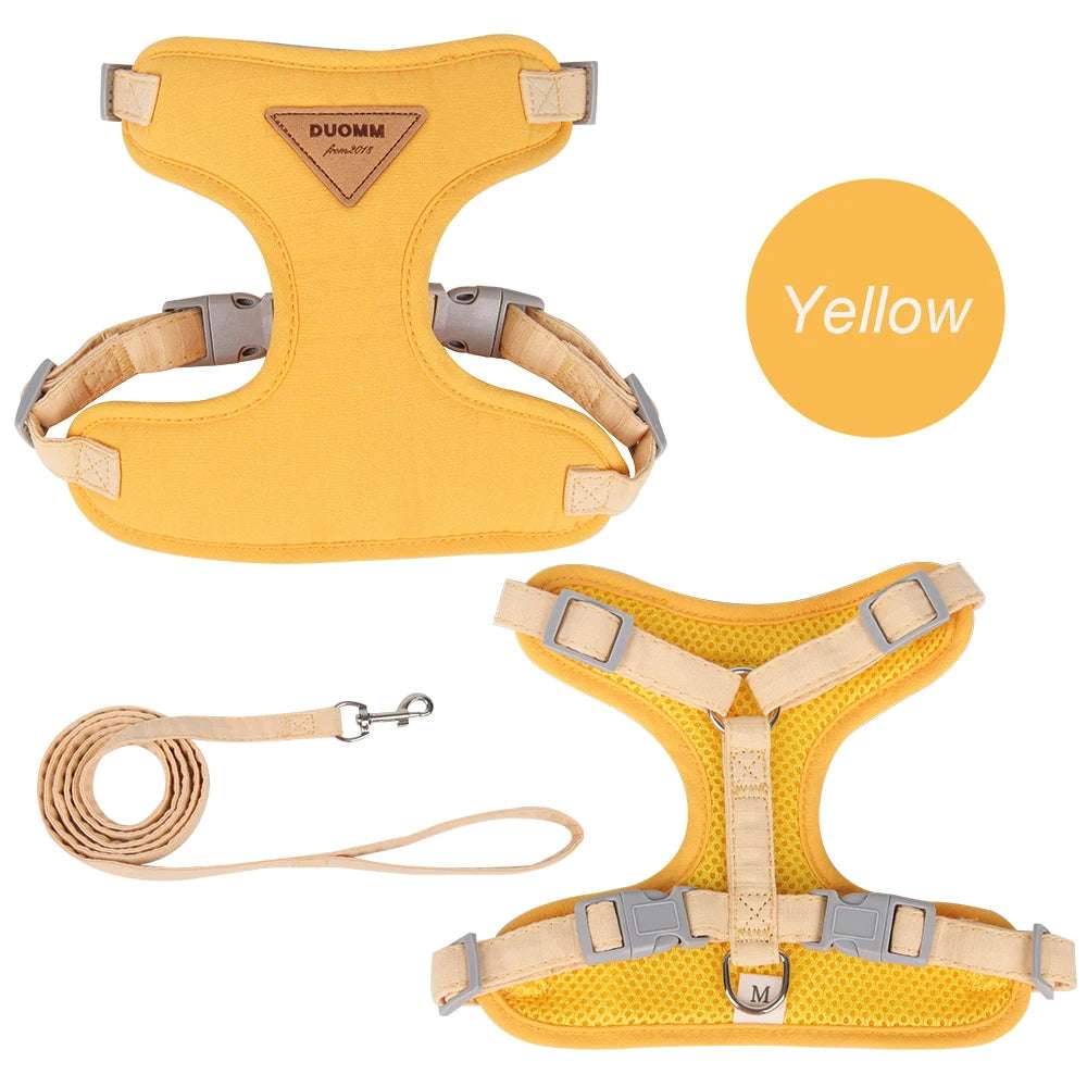 Stylish Pet Harness and Leash Set for Small Dogs and Cats - Meterpet