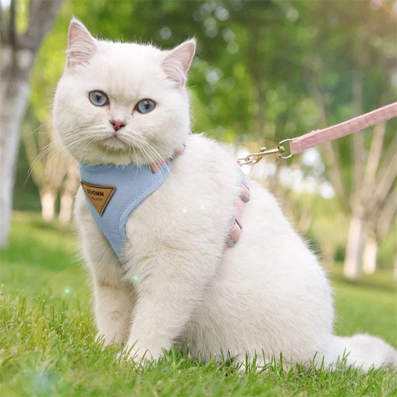 Stylish Pet Harness and Leash Set for Small Dogs and Cats - Meterpet