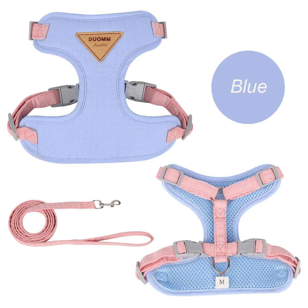 Stylish Pet Harness and Leash Set for Small Dogs and Cats - Meterpet